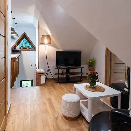 Apartament U Czernikow Poronin Exterior photo