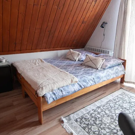 Apartament U Czernikow Poronin Exterior photo