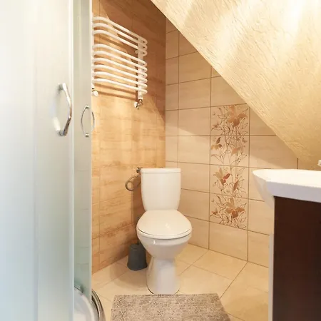Apartament U Czernikow Poronin Exterior photo