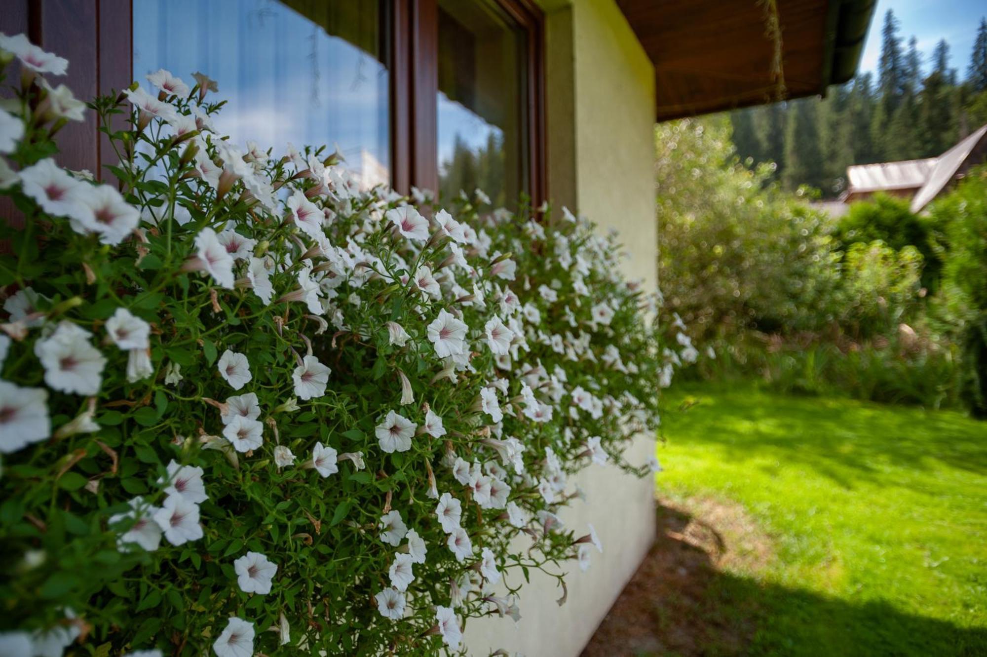 U Czernikow Homestay Poronin